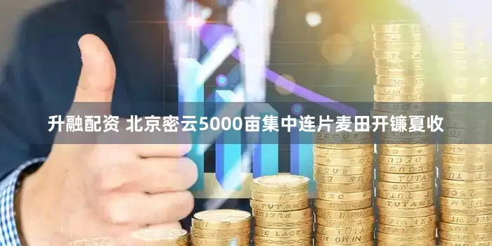 升融配资 北京密云5000亩集中连片麦田开镰夏收
