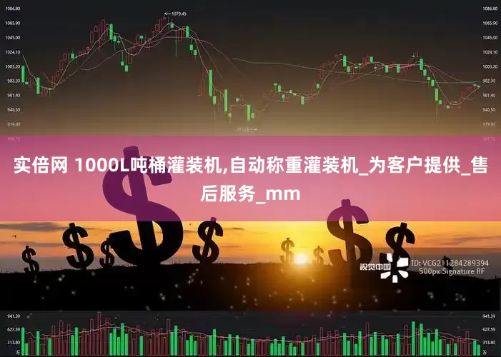 实倍网 1000L吨桶灌装机,自动称重灌装机_为客户提供_售后服务_mm