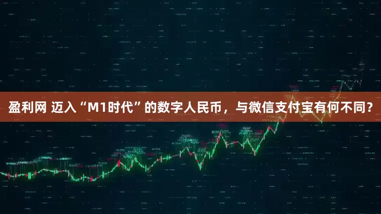 盈利网 迈入“M1时代”的数字人民币，与微信支付宝有何不同？